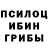 Псилоцибиновые грибы ЛСД Akeno Nelson
