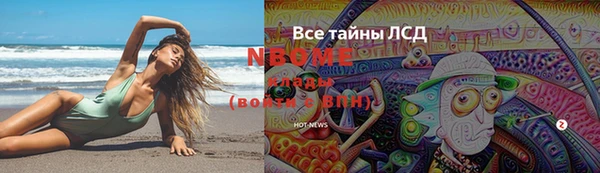 гашик Аркадак