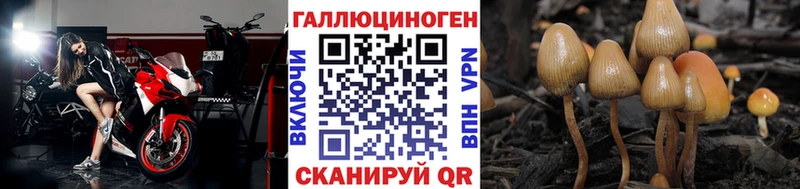 Галлюциногенные грибы мицелий  хочу наркоту  Артёмовск 